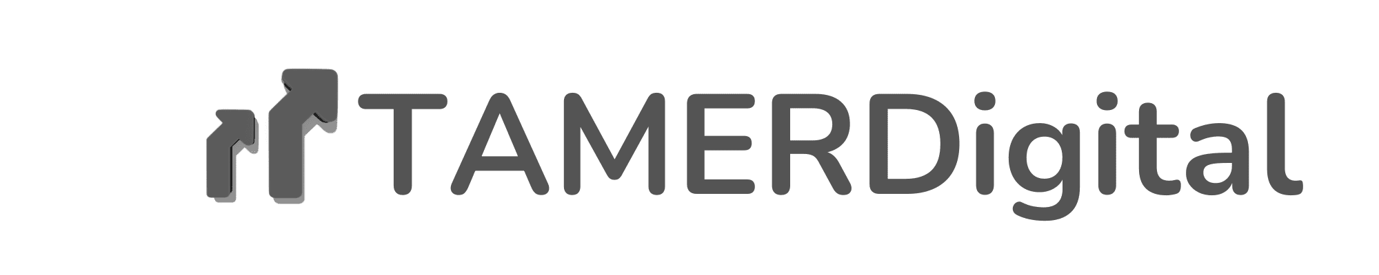 TAMERDigital Logo